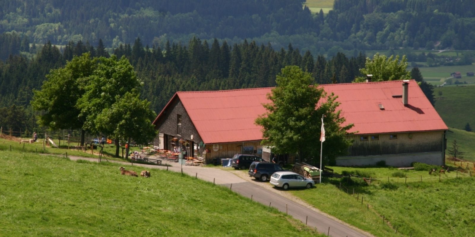 sf-hof_sommer1